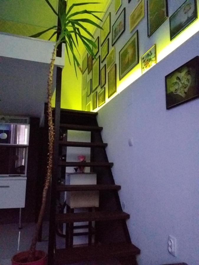 Hadar Apartment